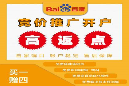 SEM推广实战：成功案例剖析